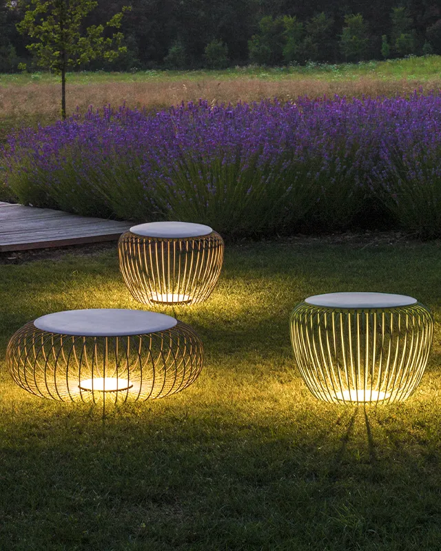 Decorative 50 1